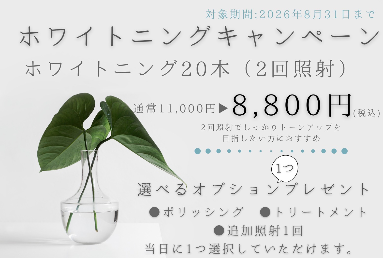 ホワイトニングキャンペーン